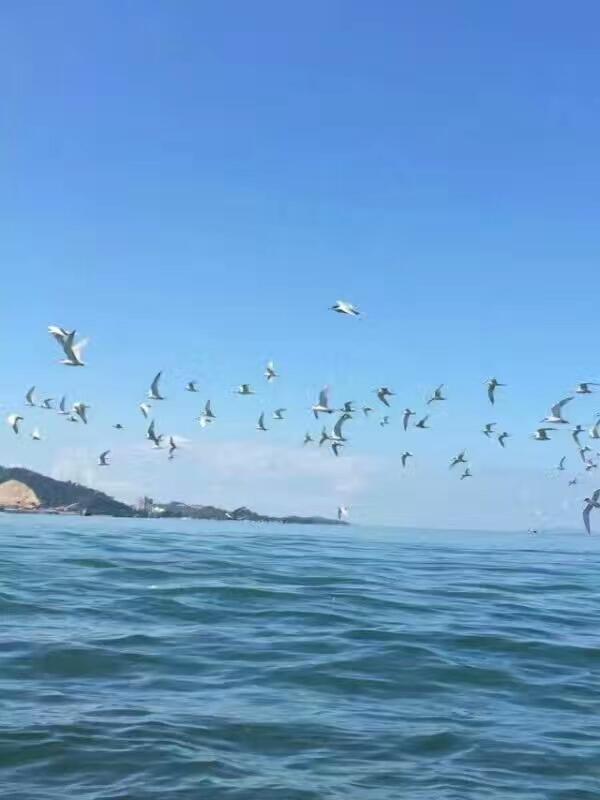 惠东巽寮湾无敌海景公寓 外观 照片